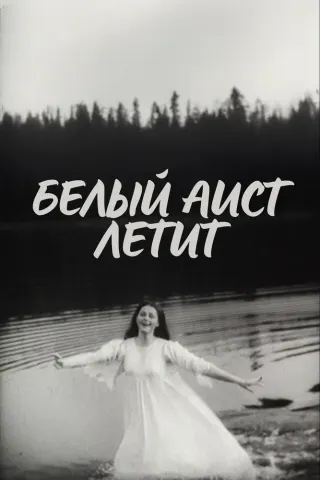 Белый аист летит