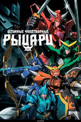Истинные чудотворные рыцари [ТВ-2]